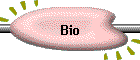 Bio